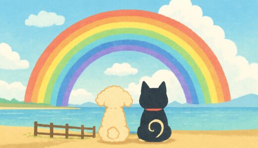 ペットの生まれ変わりがもたらす希望 ～悲しみの向こう側へ進め