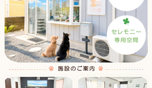 野洲市のペット火葬｜野洲ペットセレモニースペース｜とわの虹