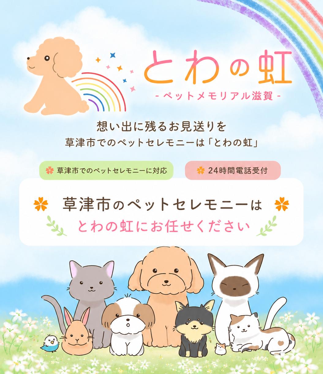 草津市のペット火葬｜訪問・持込みどちらにも対応｜とわの虹 | コラム