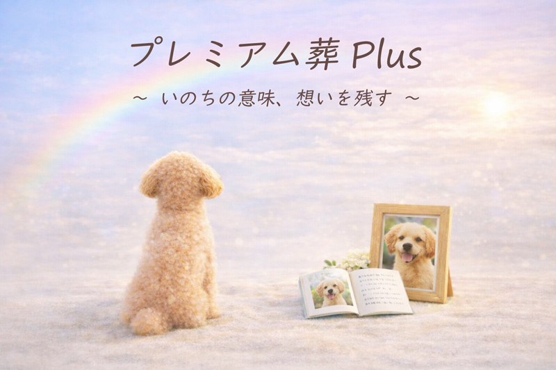 プレミアム葬Plus
